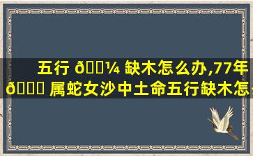 五行 🌼 缺木怎么办,77年 🍀 属蛇女沙中土命五行缺木怎么办